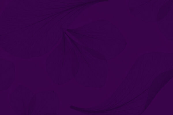 Robin-flower-4p-BG Soft floral background visual for Robin Dhaliwal website